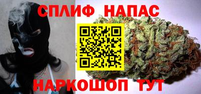 МДПВ Будённовск