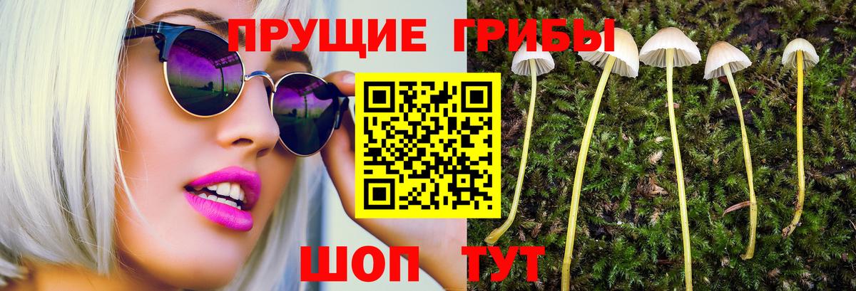 Псилоцибиновые грибы ЛСД  Вход с VPN  купить наркотик  Ртищево 