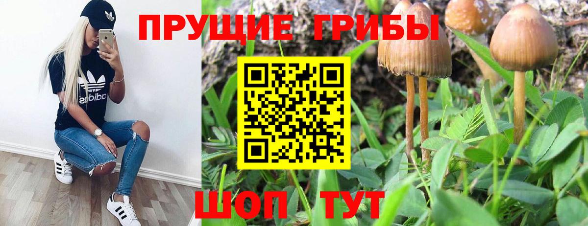 Псилоцибиновые грибы Magic Shrooms Ртищево